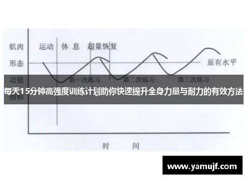每天15分钟高强度训练计划助你快速提升全身力量与耐力的有效方法