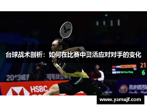 台球战术剖析：如何在比赛中灵活应对对手的变化