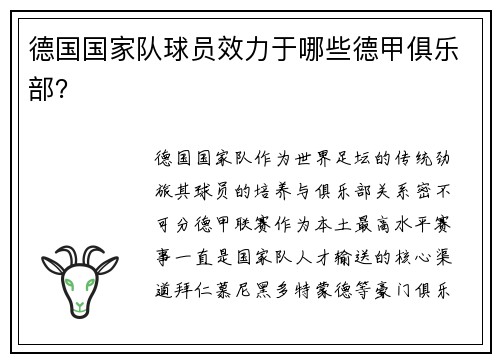 德国国家队球员效力于哪些德甲俱乐部？